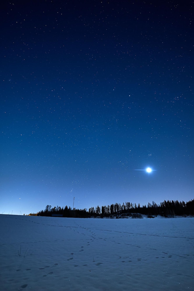 Foto vertical shot of a field covered in snow in a vibrant blue sky background at night