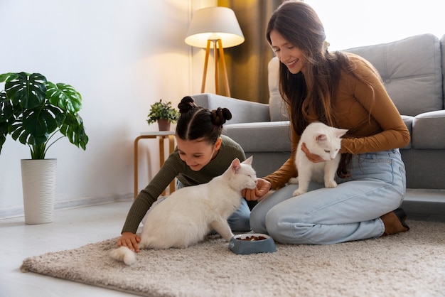View of beautiful white indoor cats