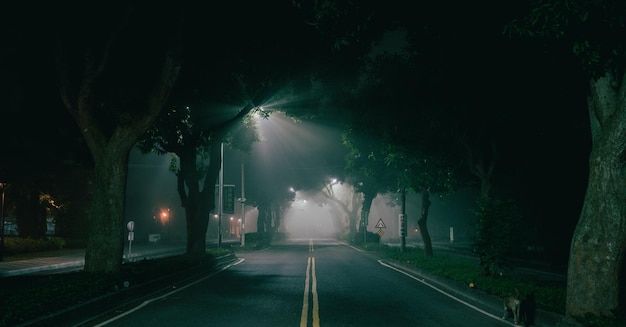 View of illuminated street at night