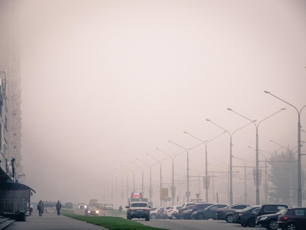 view of vehicles on road