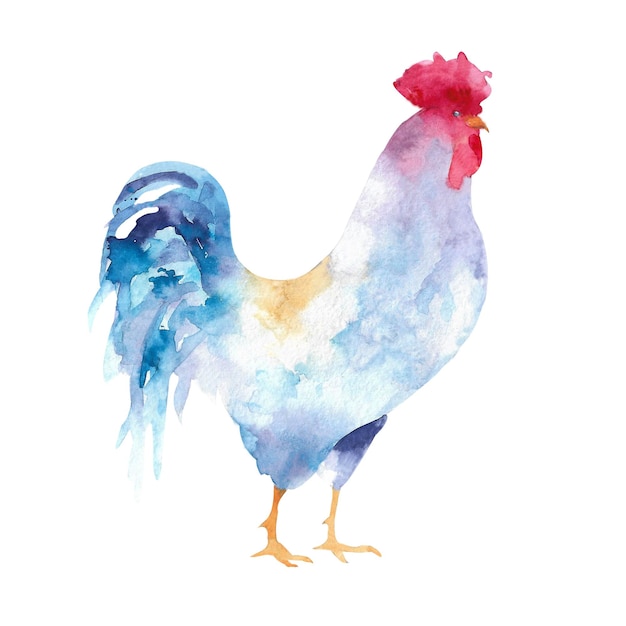 Watercolor illustration of hens and roosters Farm bird illustration Domestic Chickens Animal illustration Isolated on white background