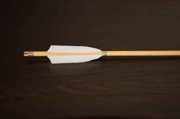 white plumage close up arrows for archery on a blurred background selective focus arrows plumage