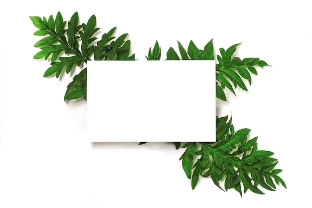 White sheet of paper and thistle leaves on a white background Mockup for invitation or greeting card