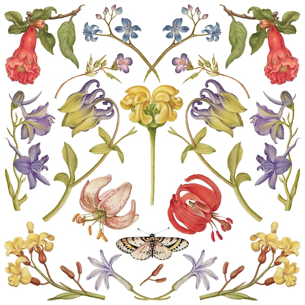 Wild flower blossom png illustration hand drawn set remix from The Model Book of Calligraphy Joris Hoefnagel and Georg Bocskay