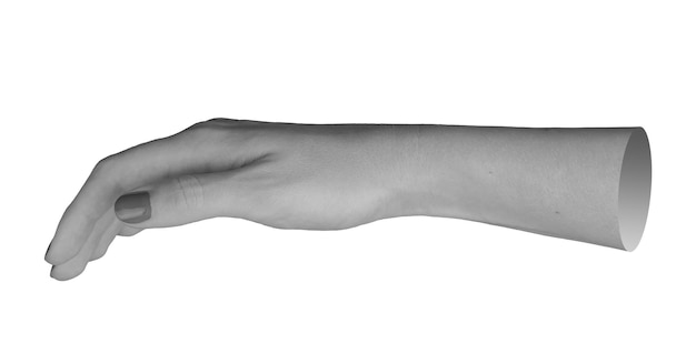 woman s hand fingers slightly bending and curving with the thumb extended isolated on a white