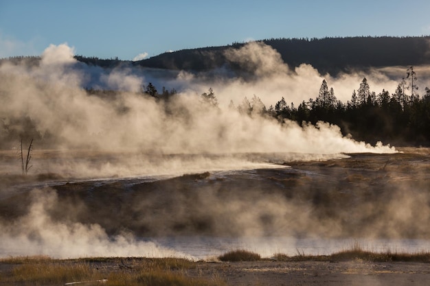 Yellowstone