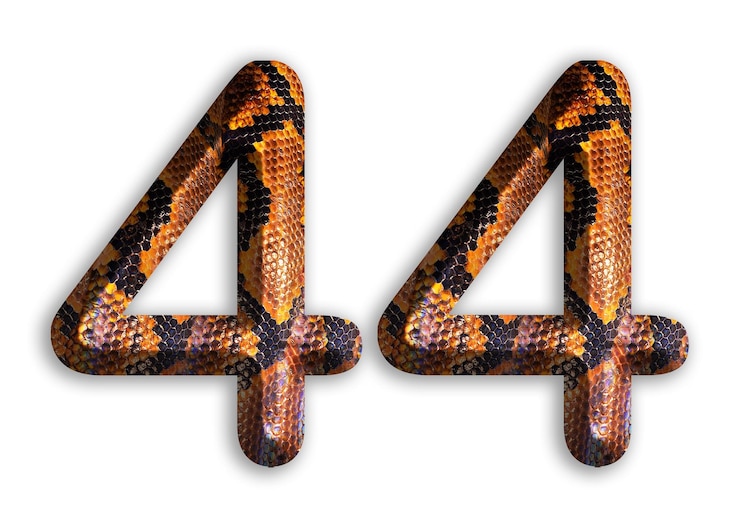 Bild 44 number shape with snake skin motif design python skin