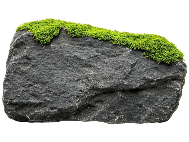 A dark rock covered partially with vibrant green moss showcasing a natural contrast between the textures and colors of stone and plant life