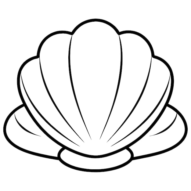 a drawing of a seashell with a white background that says quot sculpt quot
