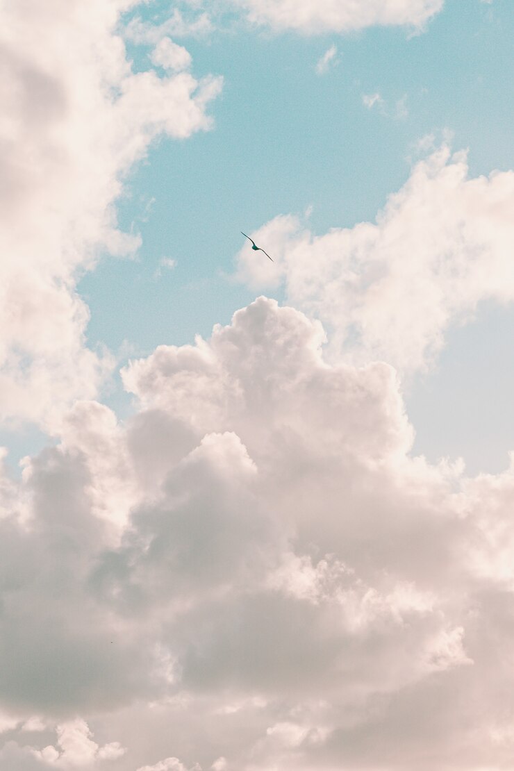 Bild a super white cloud with a seagull flying in freedom, freedom concept liberty