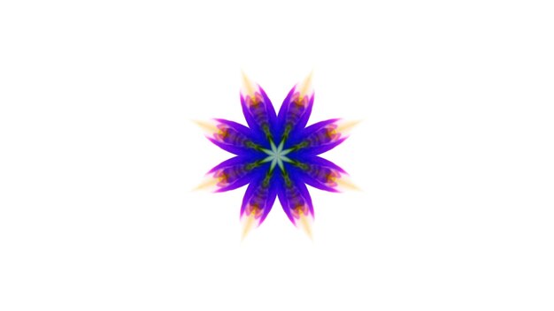 Abstrakt malerpensel blæk eksploderer spredning glat koncept symmetrisk mønster ornamental dekorativt kalejdoskop bevægelse geometrisk cirkel og stjerneformer