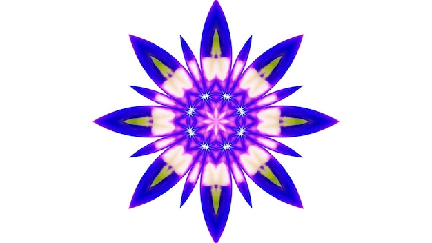 Abstrakt malerpensel blæk eksploderer spredning glat koncept symmetrisk mønster ornamental dekorativt kalejdoskop bevægelse geometrisk cirkel og stjerneformer