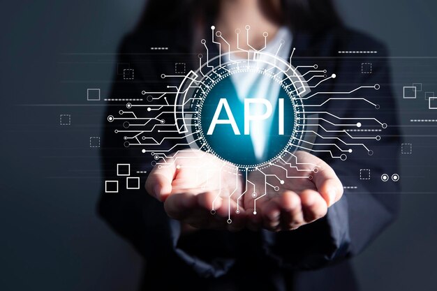 api application interface development interface