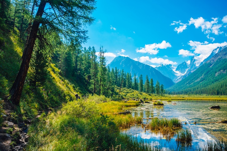 Bild beautiful glacier reflected in mountain pure water with plants on bottom. wonderful lake with snowy rocks reflection. white clouds on snowy mountains under blue sky. amazing summer highland landscape.