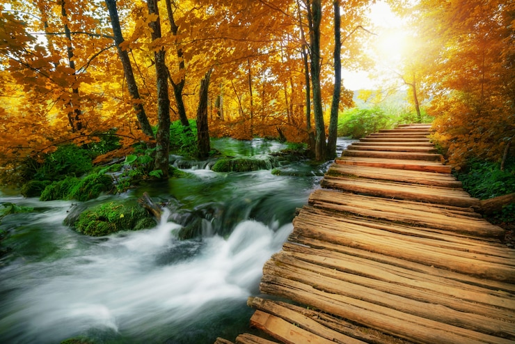 Bild beautiful wooden path in plitvice lake, croatia.