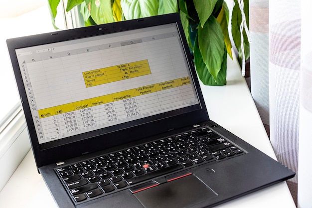 Bild av ett Excel-ark på en datorskärm som visar en amorteringstabell för ett banklån. Redovisning