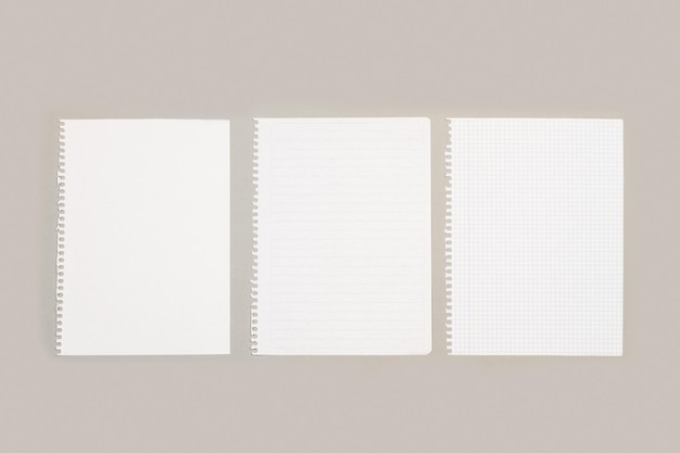 Blank lined and squared sheets of paper with copy space on a gray background