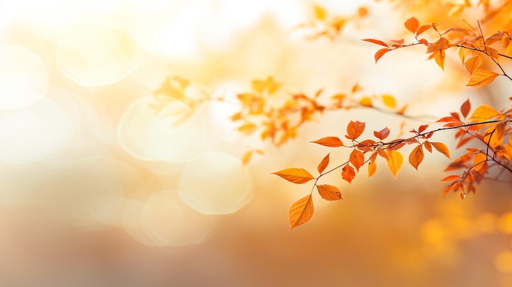 Bild blurred autumn nature bokeh background generative ai