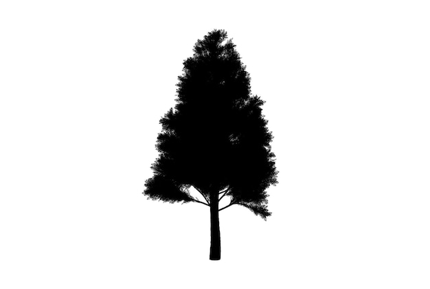 Botanic tree silhouette artwork biology wood shape design