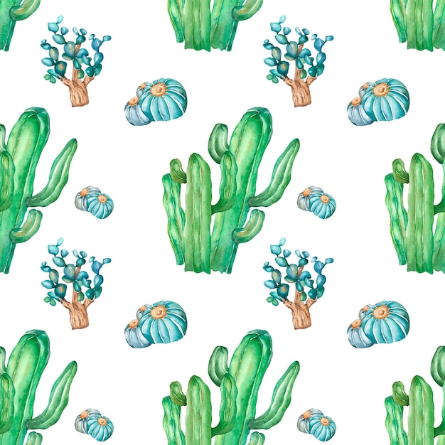 cacti watercolor illustration seamless pattern on white background green succulent plants of desert
