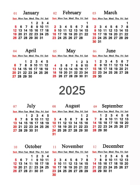 calendar for 2025 year Daily organizer Business organizer 2025 calendar