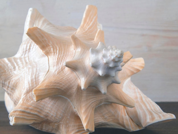 Close-up of a sculpture
