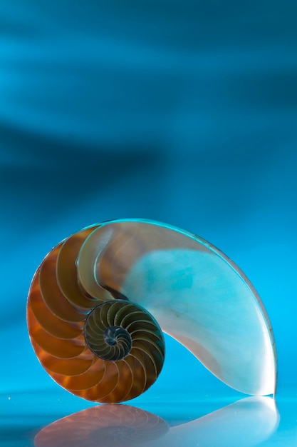 Close-up of blue sea