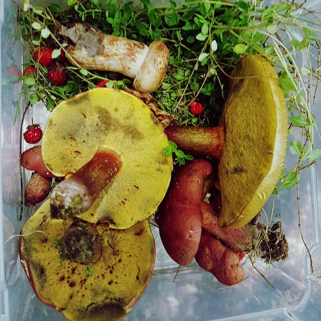 close-up of food