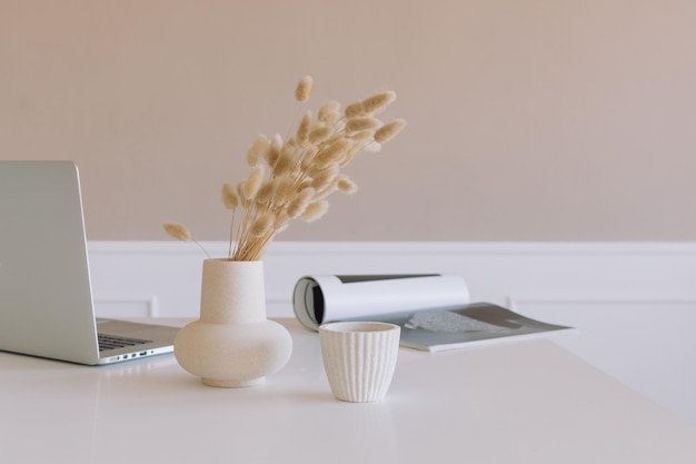 Close-up of laptop with plant on white background