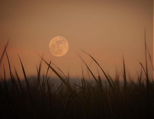 Close-up of moon at sunset