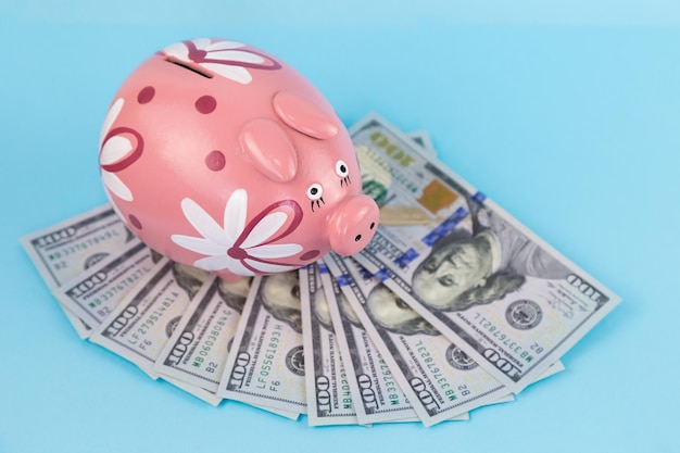close-up of piggy bank against blue background