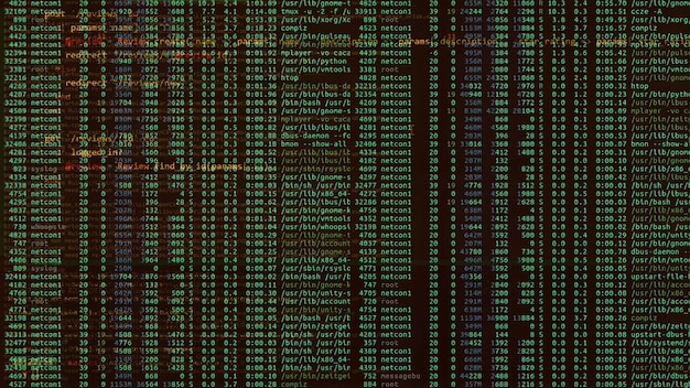 Code and data on computer screen