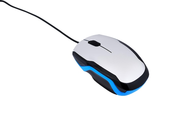 computer mouse