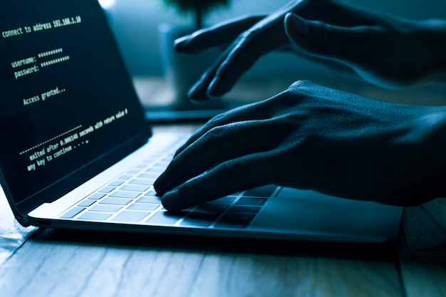 Computerprogrammører skriver kode på den bærbare computer