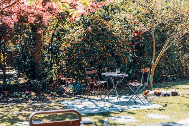 Empty chairs and table in park during autumn