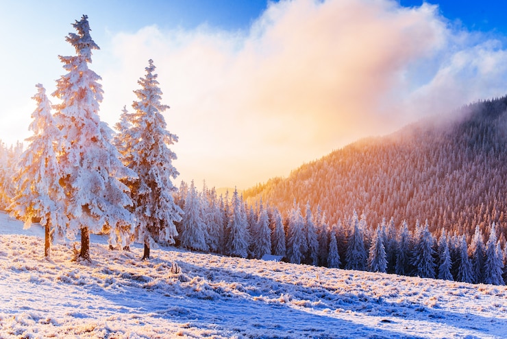 Bild fabulous winter landscape