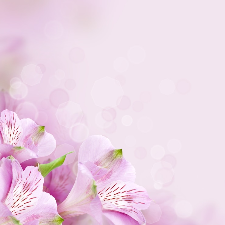 Bild flowers background, beautiful spring nature