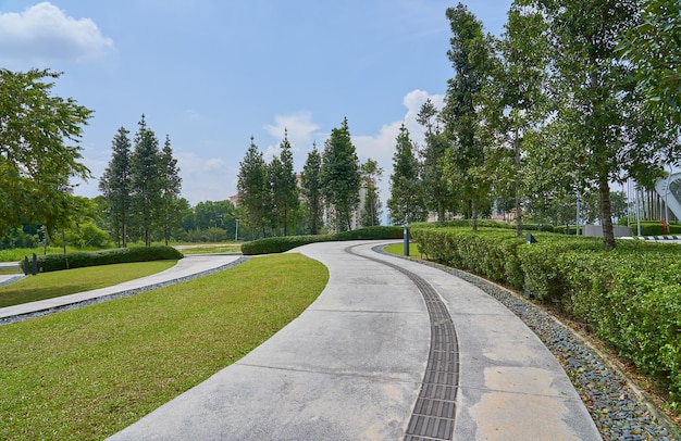 Footpath in park against sky in city