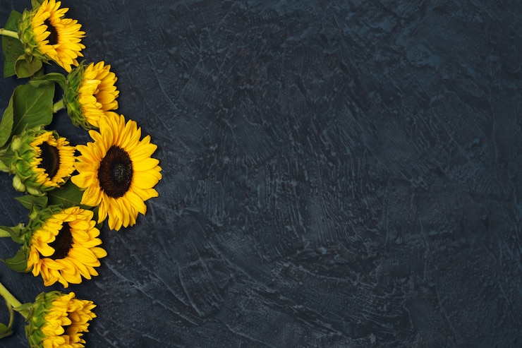 Bild frame of sunflowers
