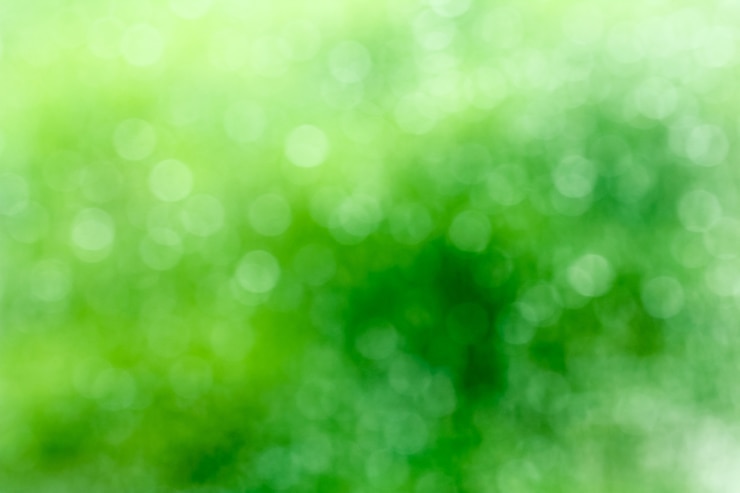 Bild fresh healthy green bio background with abstract blurred foliage and bright summer sunligh