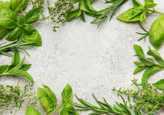 Fresh herbs frame creating empty space on gray background