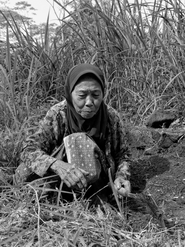 Bild full frame shot of plants and old woman