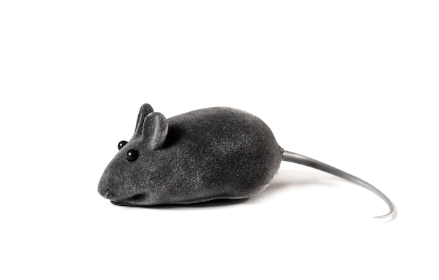 Gray pet toy mouse