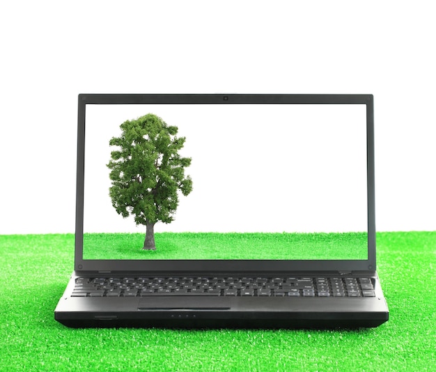 Green technology Laptop on the grass with a tree on the screen