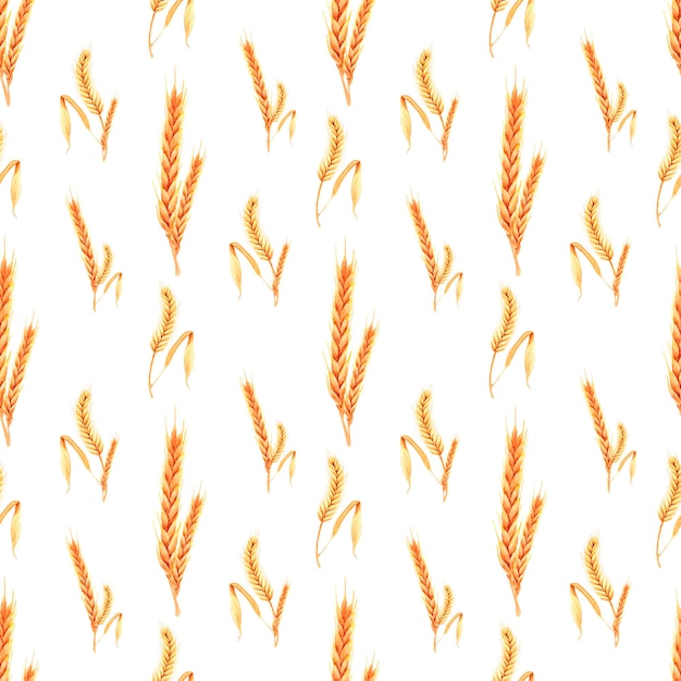 Hand drawn watercolor yellow dry spike seamless pattern on white background Scrapbook poster banner