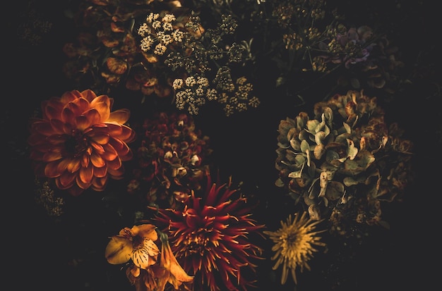 High angle view of flowering plants
