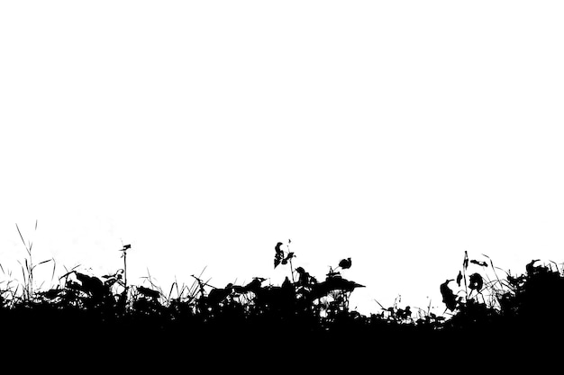 Horizontal black and white grass silhouette illustration background hd