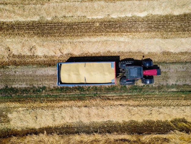 Høstscene i det italienske landskab