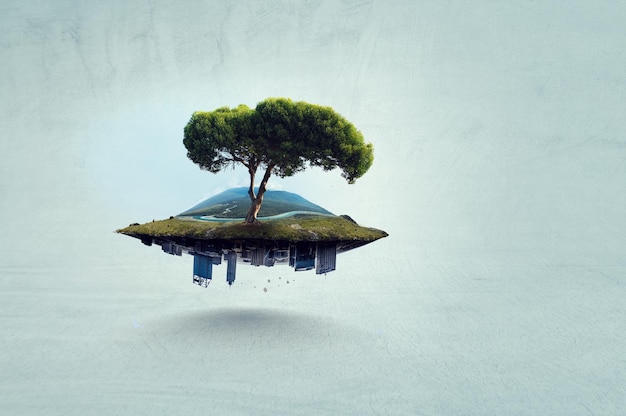 image of tree and landscape