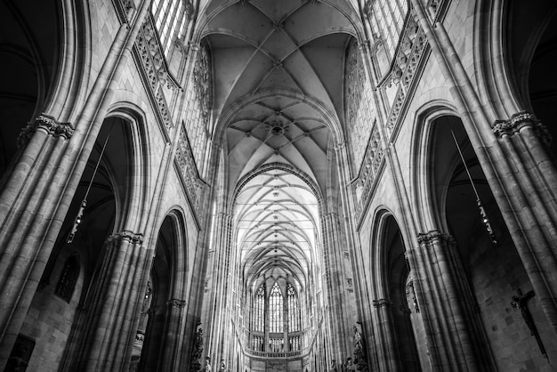 Low angle view of gothic church ceiling